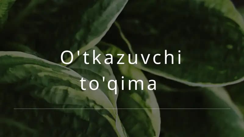 O'tkazuvchi to'qima
