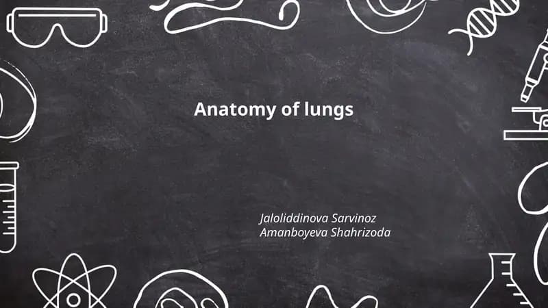 Anatomy of lungs