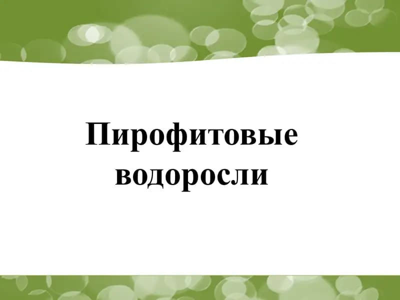 Пирофитовые водоросли