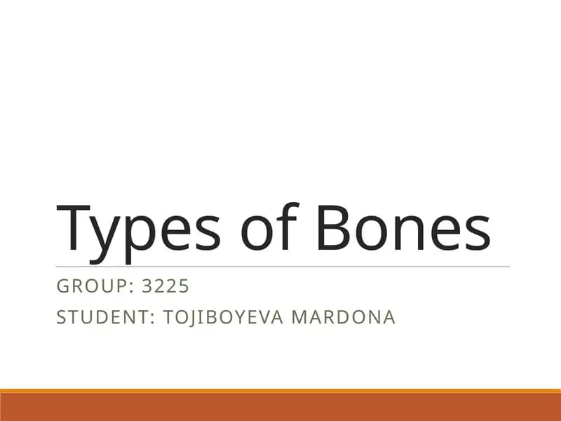 Types of Bones