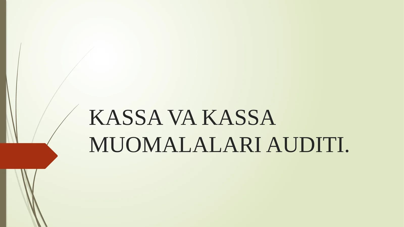 KASSA VA KASSA MUOMALALARI AUDITI