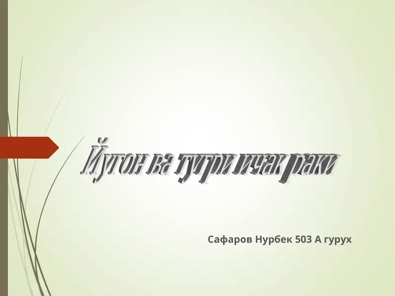 Тўғри ичак анатомияси