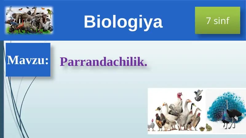Xonaki Parrandalar