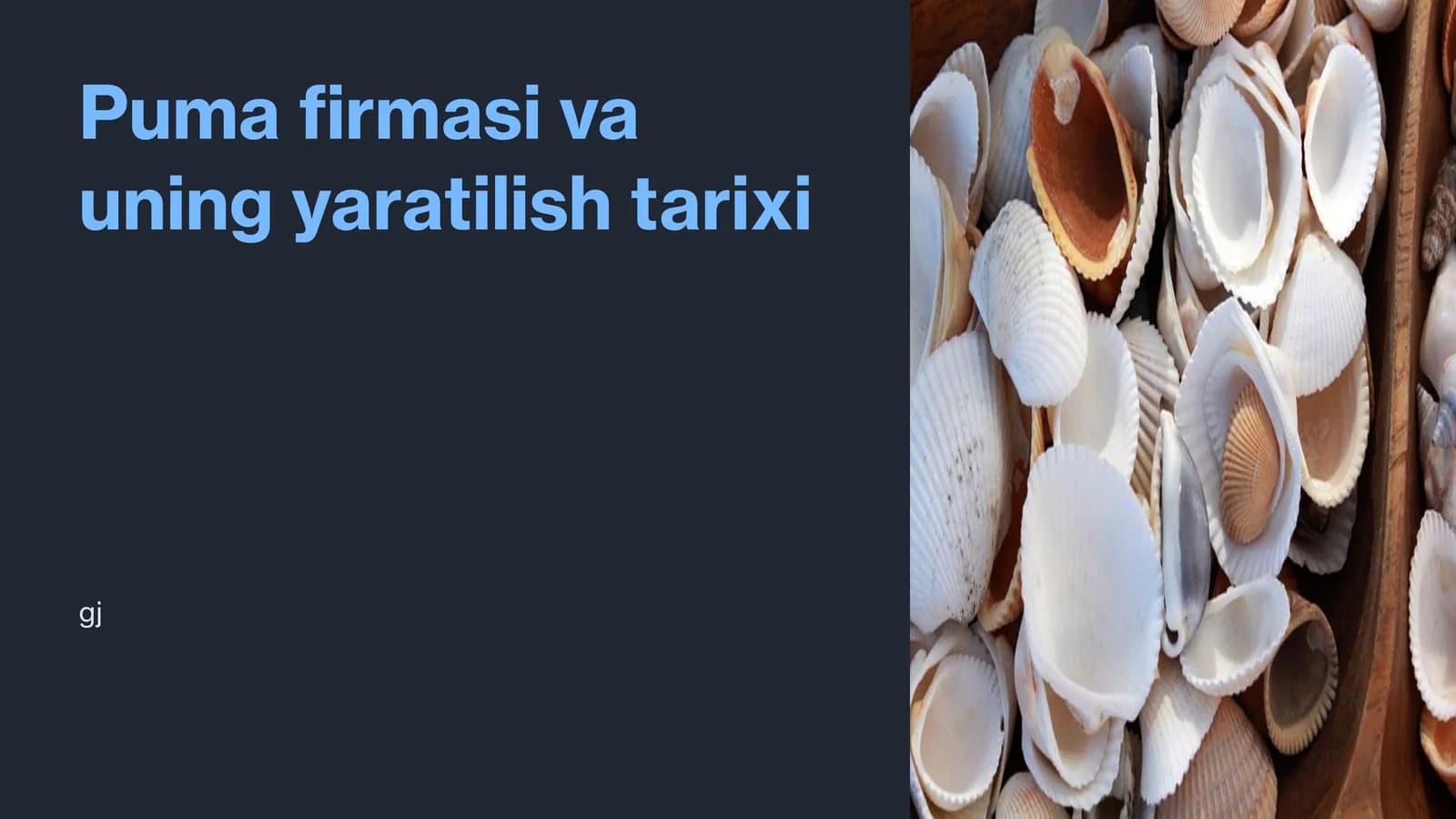 Puma firmasi va uning yaratilish tarixi