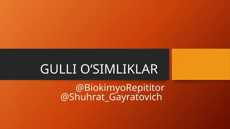 GULLI O‘SIMLIKLAR