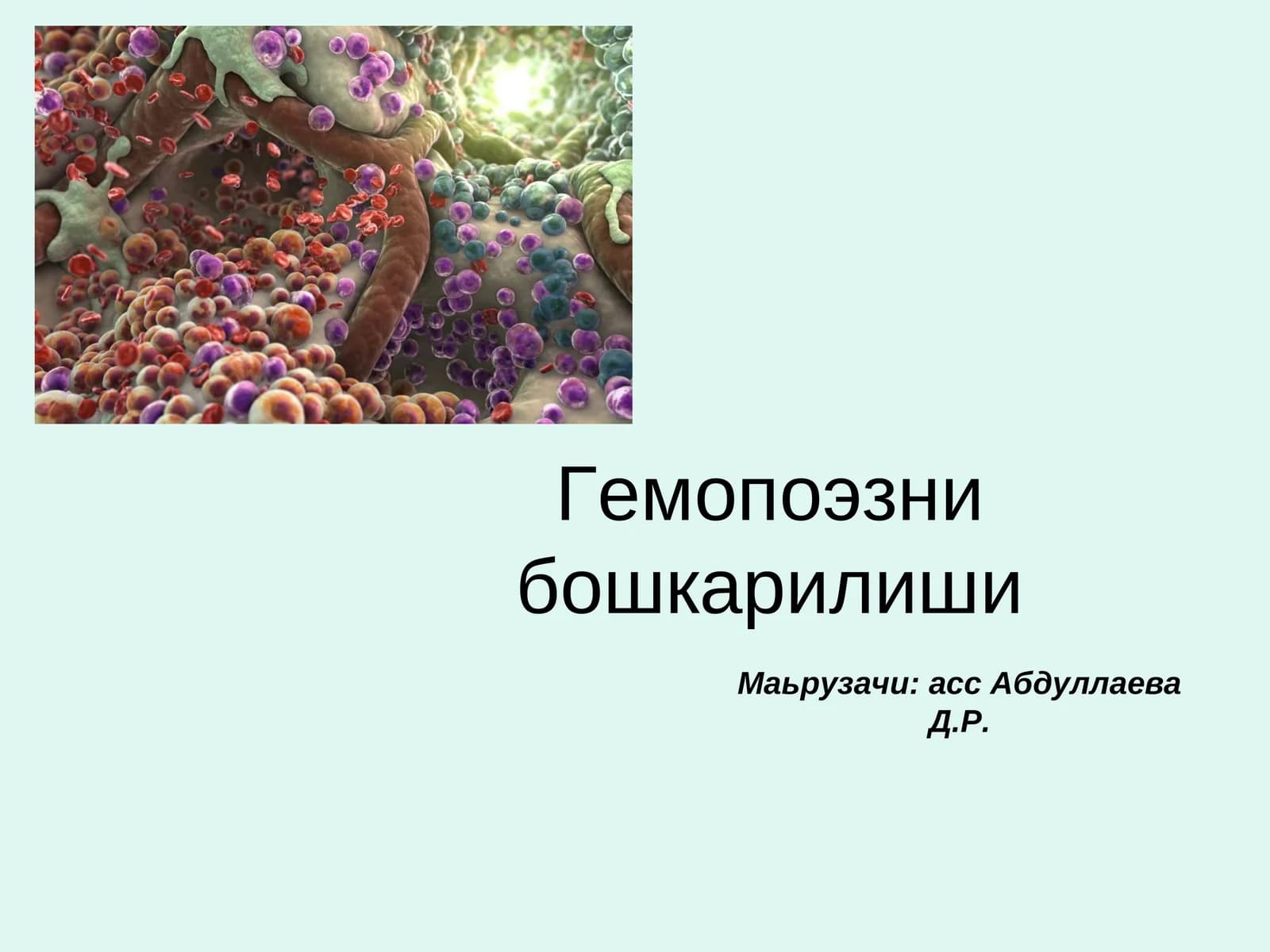 Гемопоэзни бошкарилиши