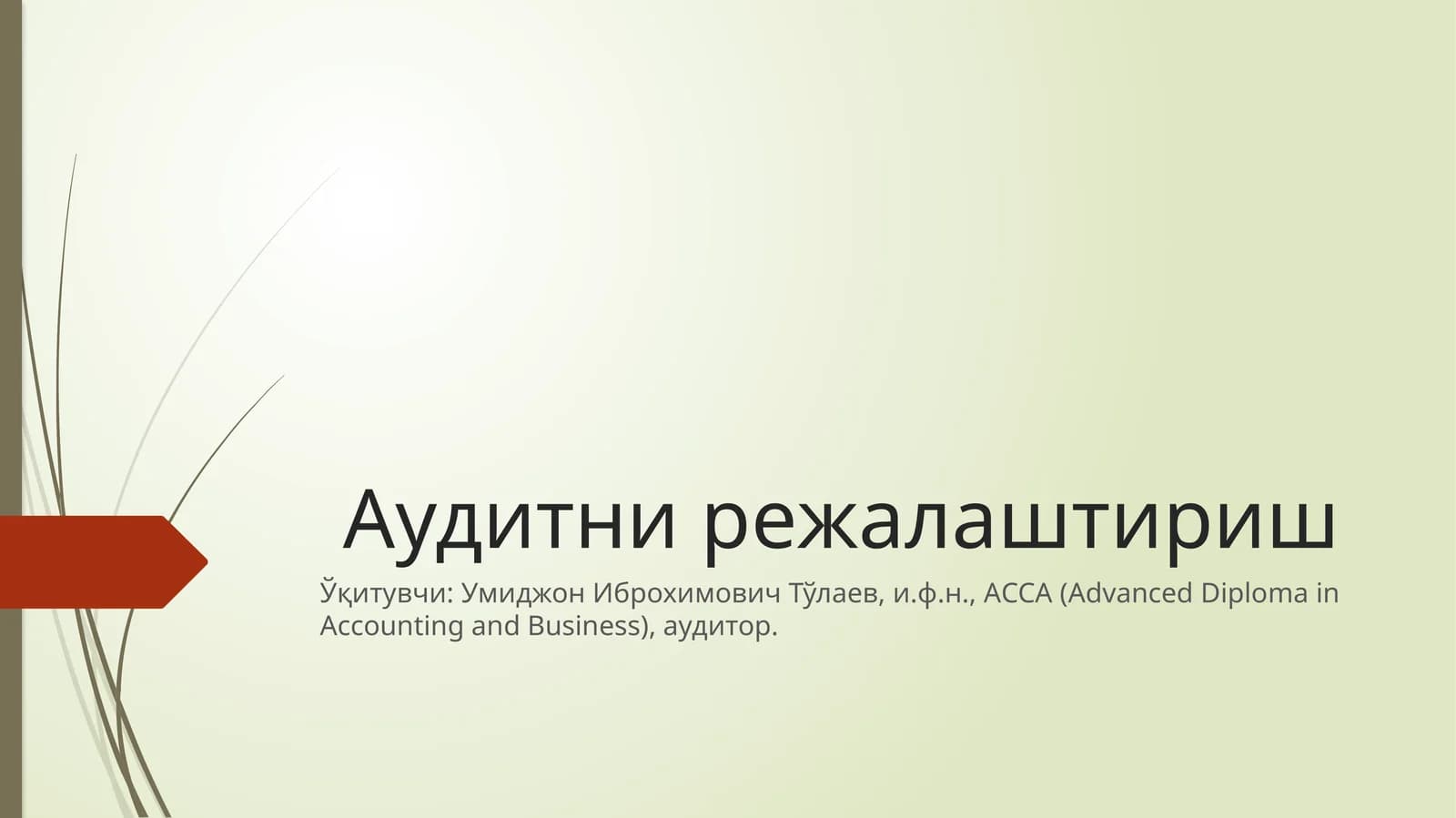 Аудитни режалаштириш