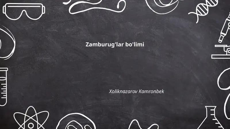 Zamburug'lar bo'limi