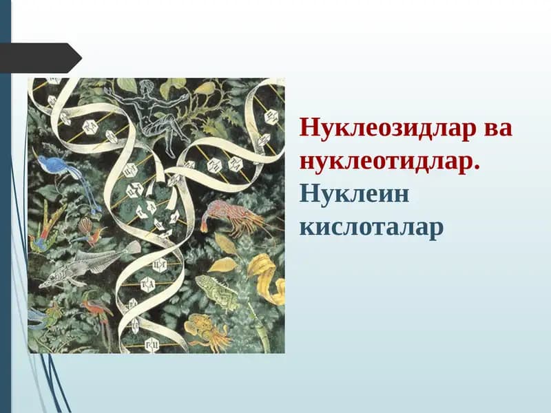 Нуклеозидлар ва нуклеотидлар