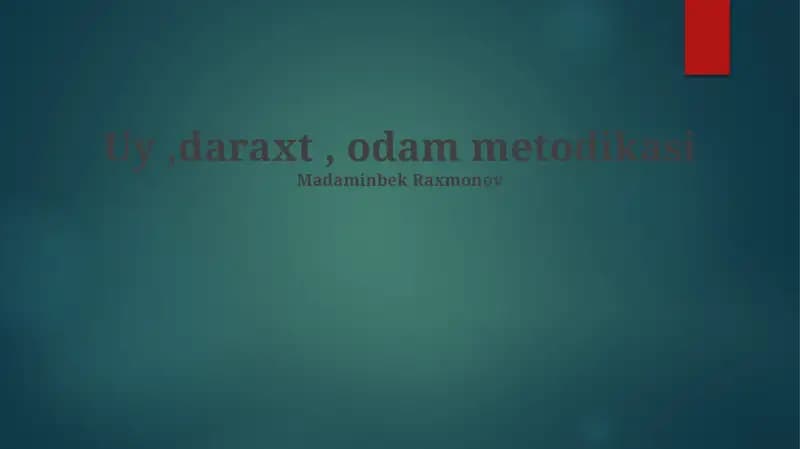 Metodologik Ramkalar