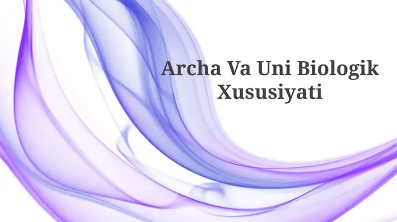 Archa Va Uni