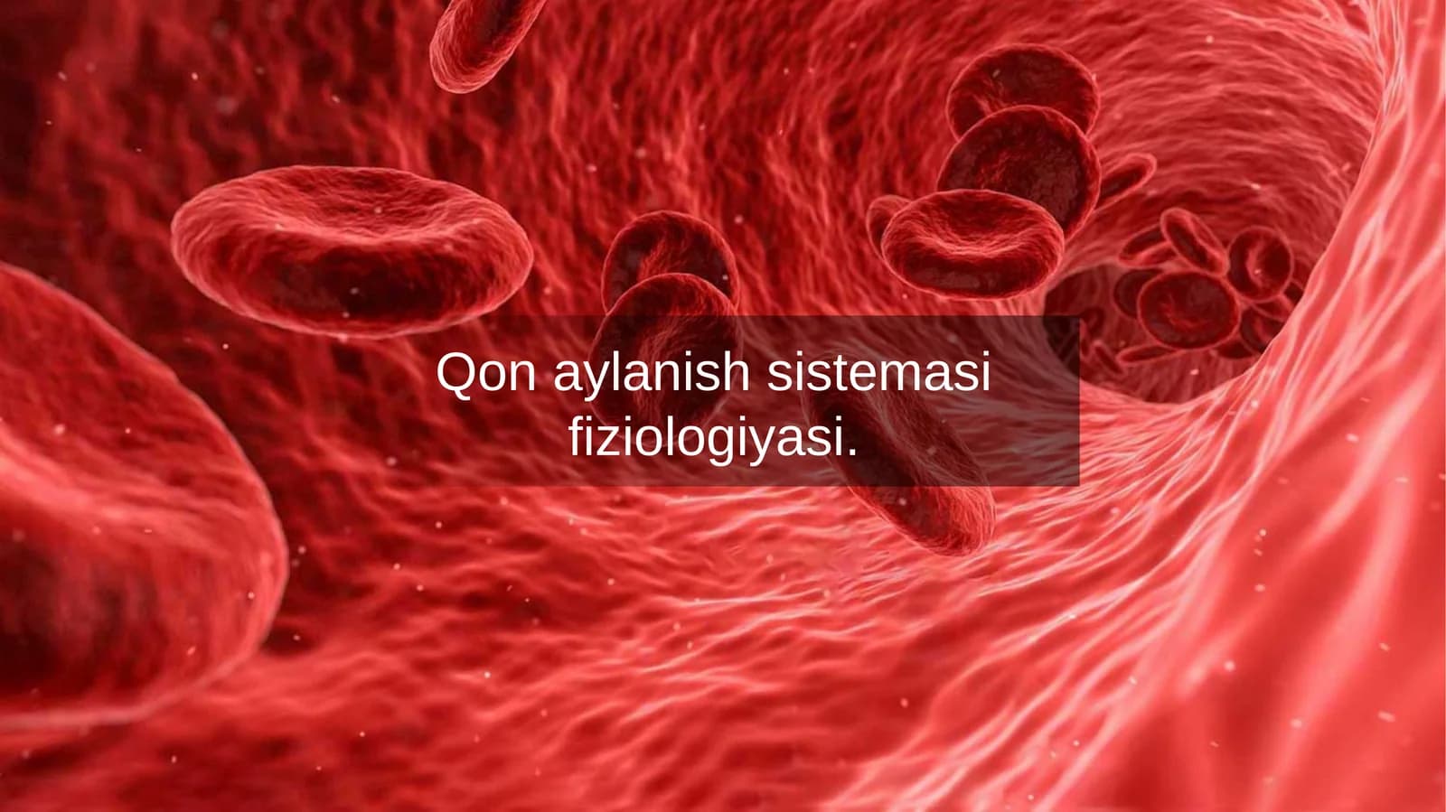 Qon aylanish sistemasi fiziologiyasi