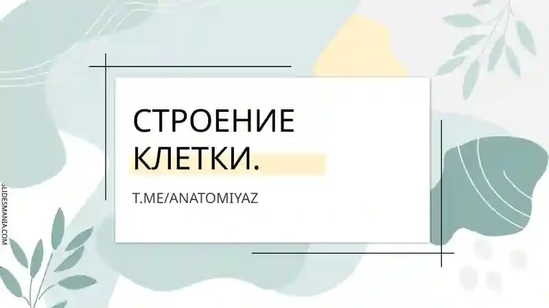 СТРОЕНИЕ КЛЕТКИ