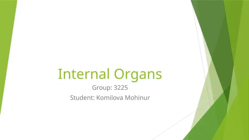 Internal Organs