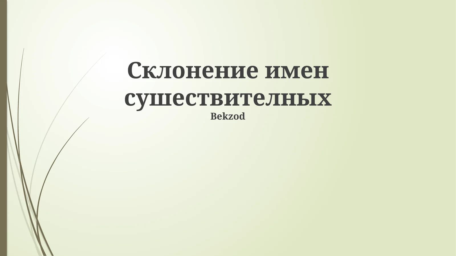 Склонение имен сушествителных