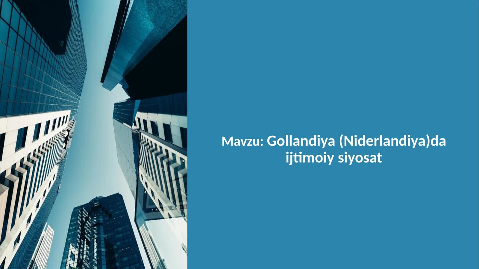Gollandiya (Niderlandiya)da ijtimoiy siyosat