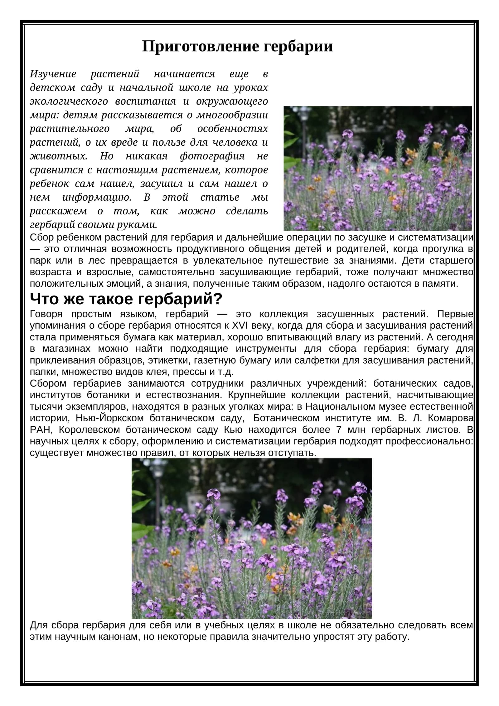 Приготовление гербарии