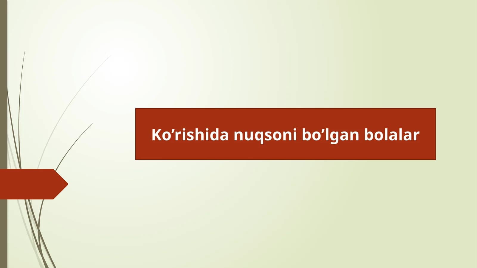 Ko’rishida nuqsoni bo’lgan bolalar