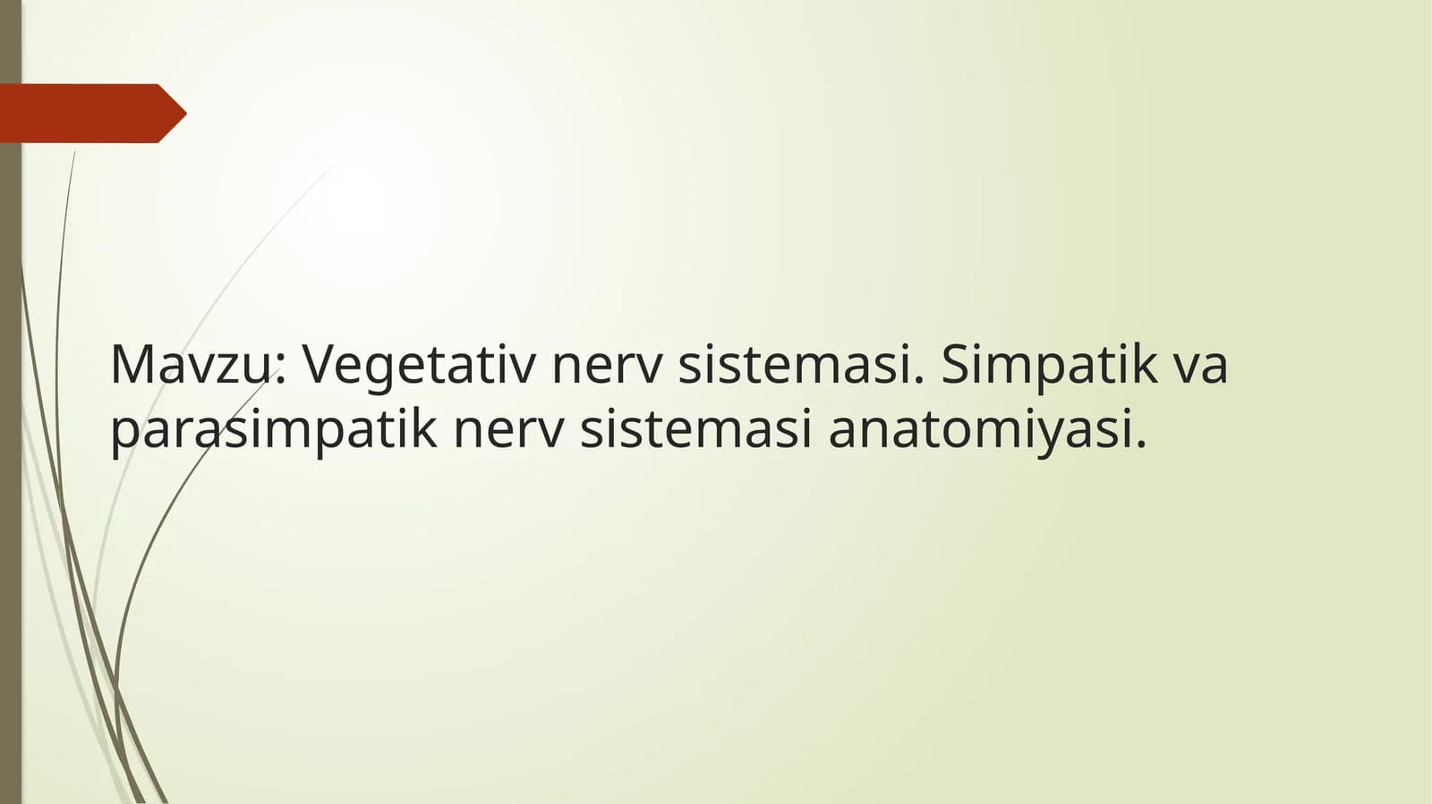 Vegetativ nerv sistemasini anatomiyasi