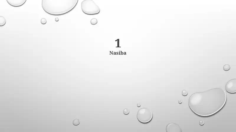 Nasiba