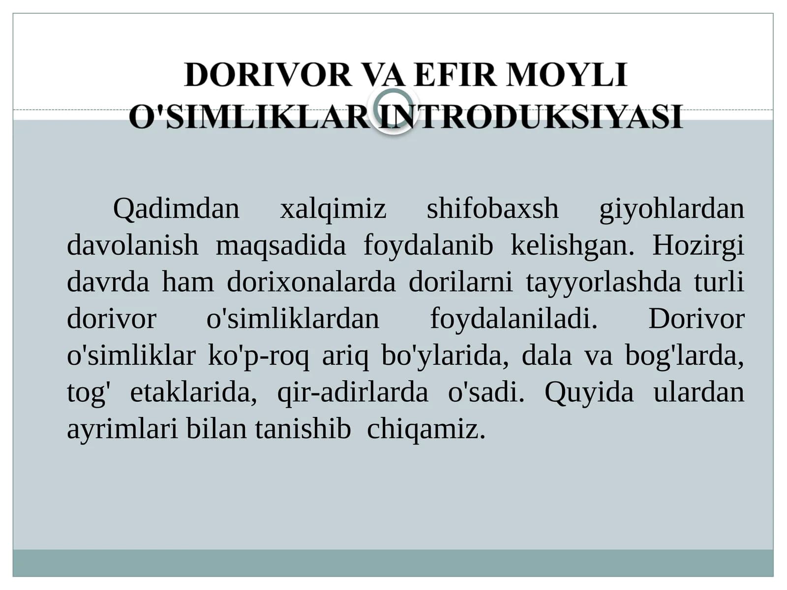 Dorivor va efir moyli o'simliklar introduksiyasi