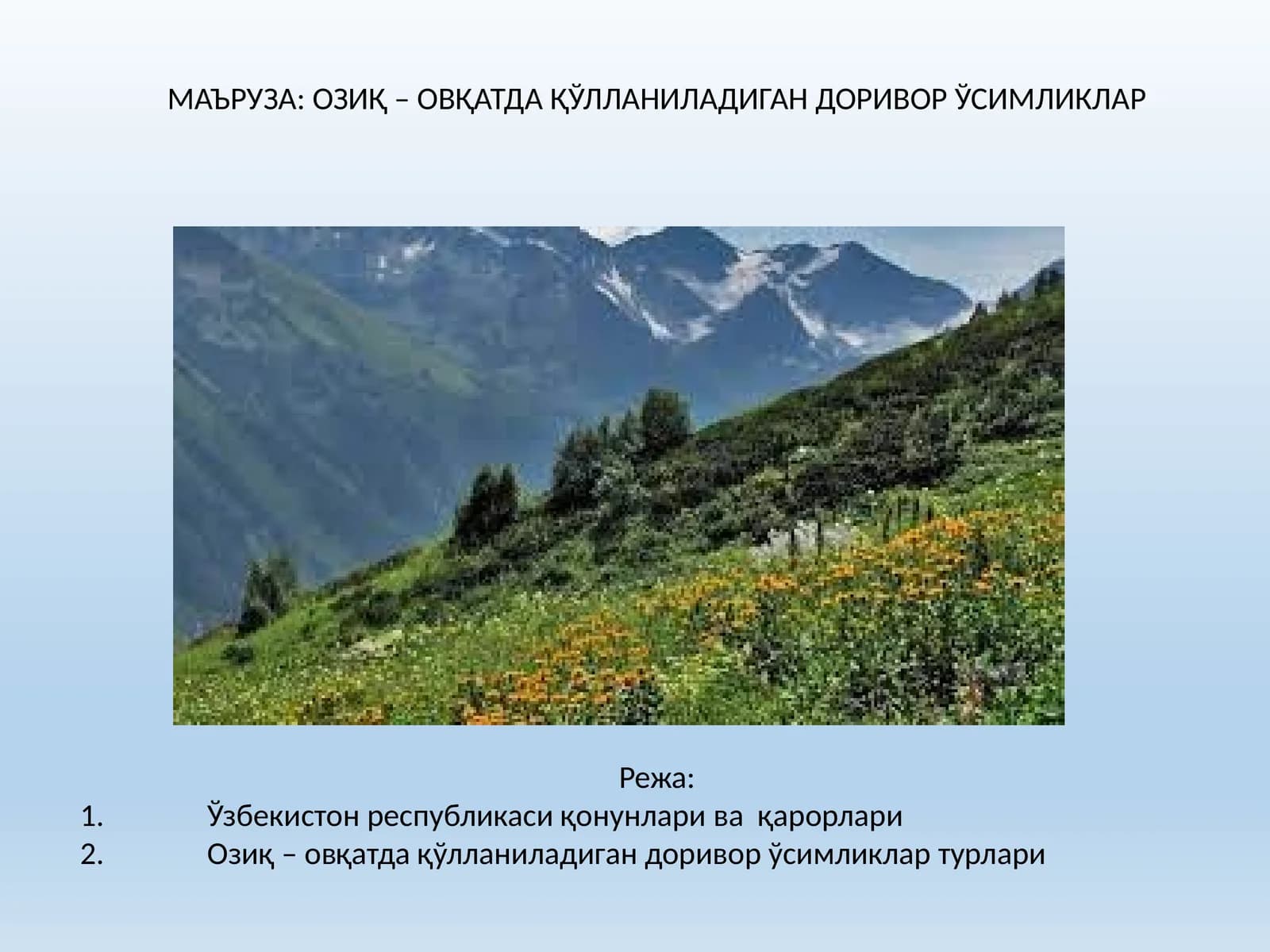 Озиқ – овқатда қўлланиладиган доривор ўсимликлар