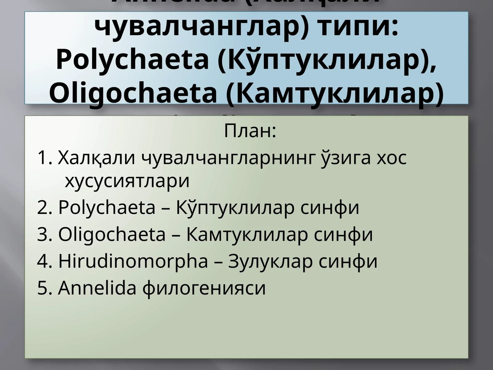 Annelida (Халқали чувалчанглар)