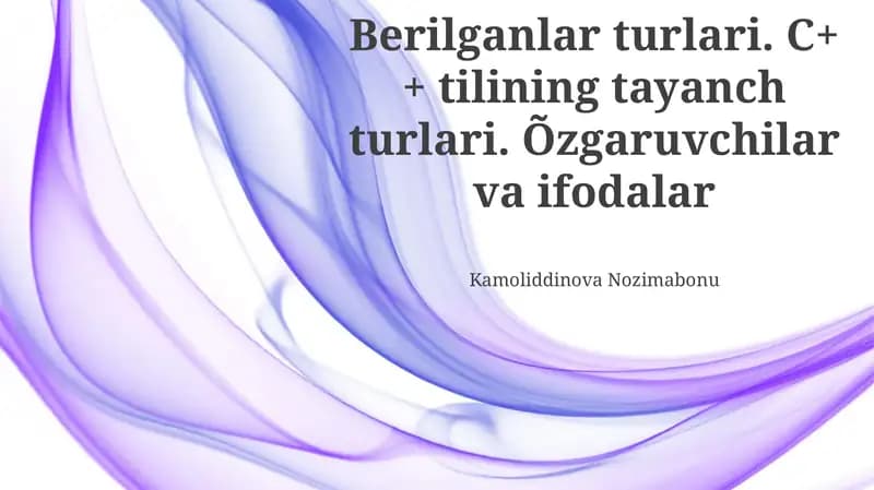 Ma'lumot turlari va o'zgaruvchilar