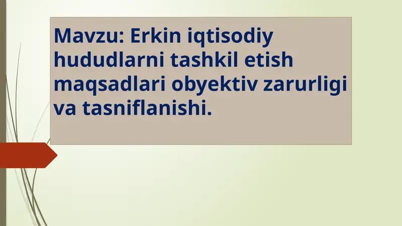 Erkiniqtisodiy hududlarni tashkilotish