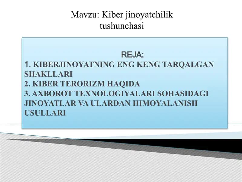 Kiber jinoyatchilik tushunchasi