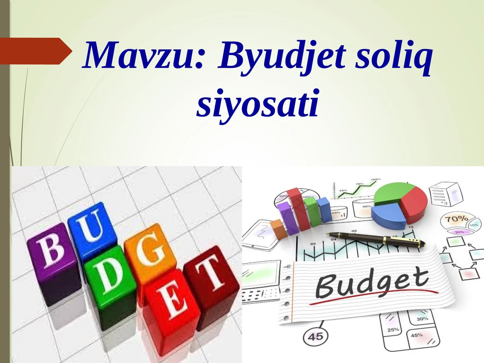 Byudjetsoliq siyosati