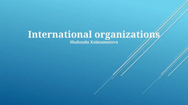 International organizations