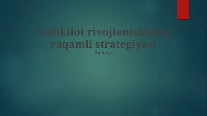 Raqamli Transformasiya Yo'l Xaritasi