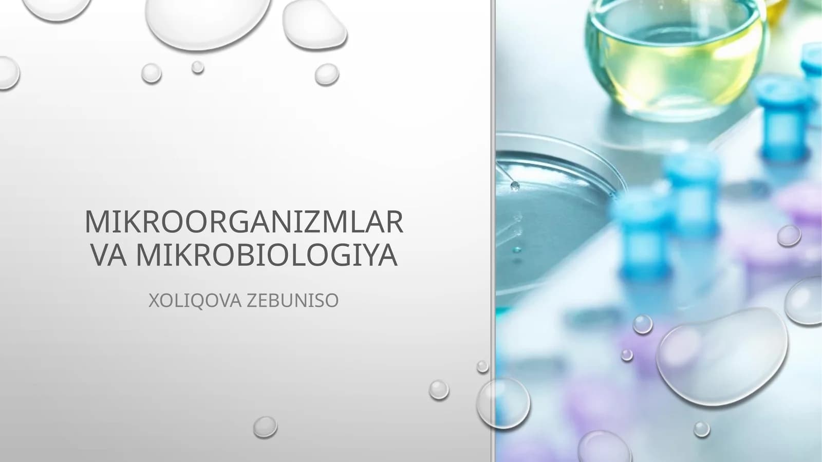 Mikroorganizmlar va mikrobiologiya