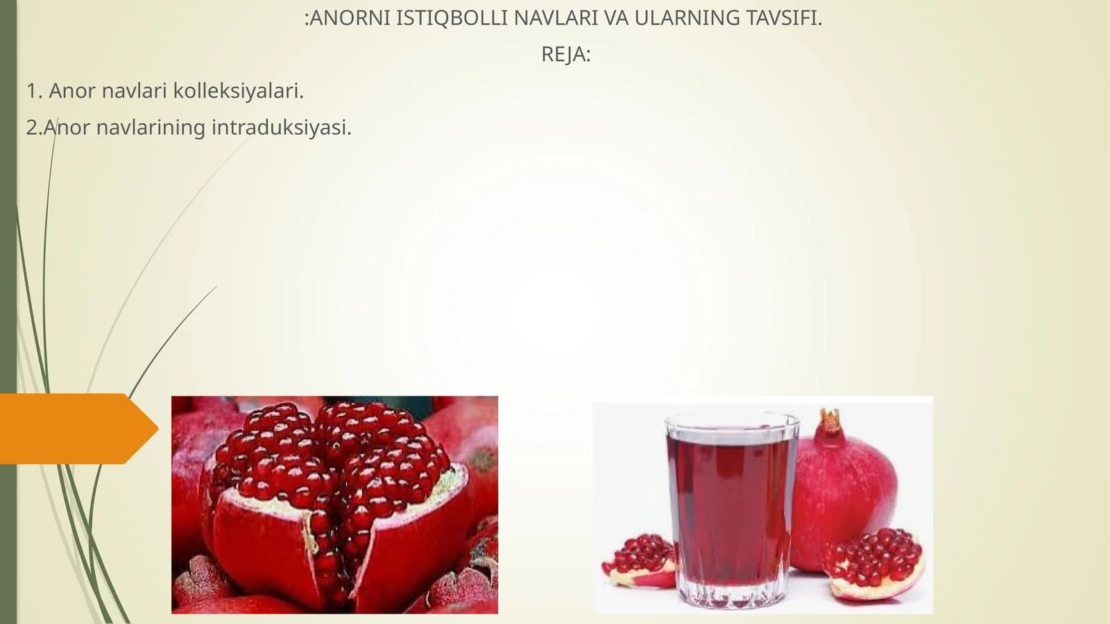 Anor navlari