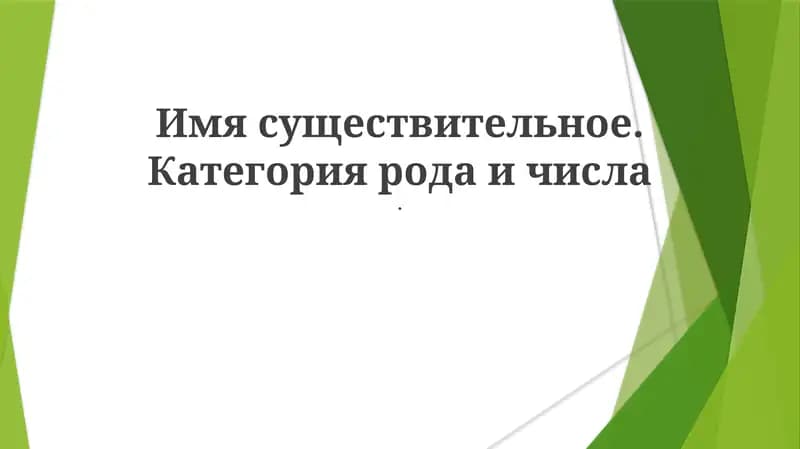 Имя существительное. Категория рода и числа