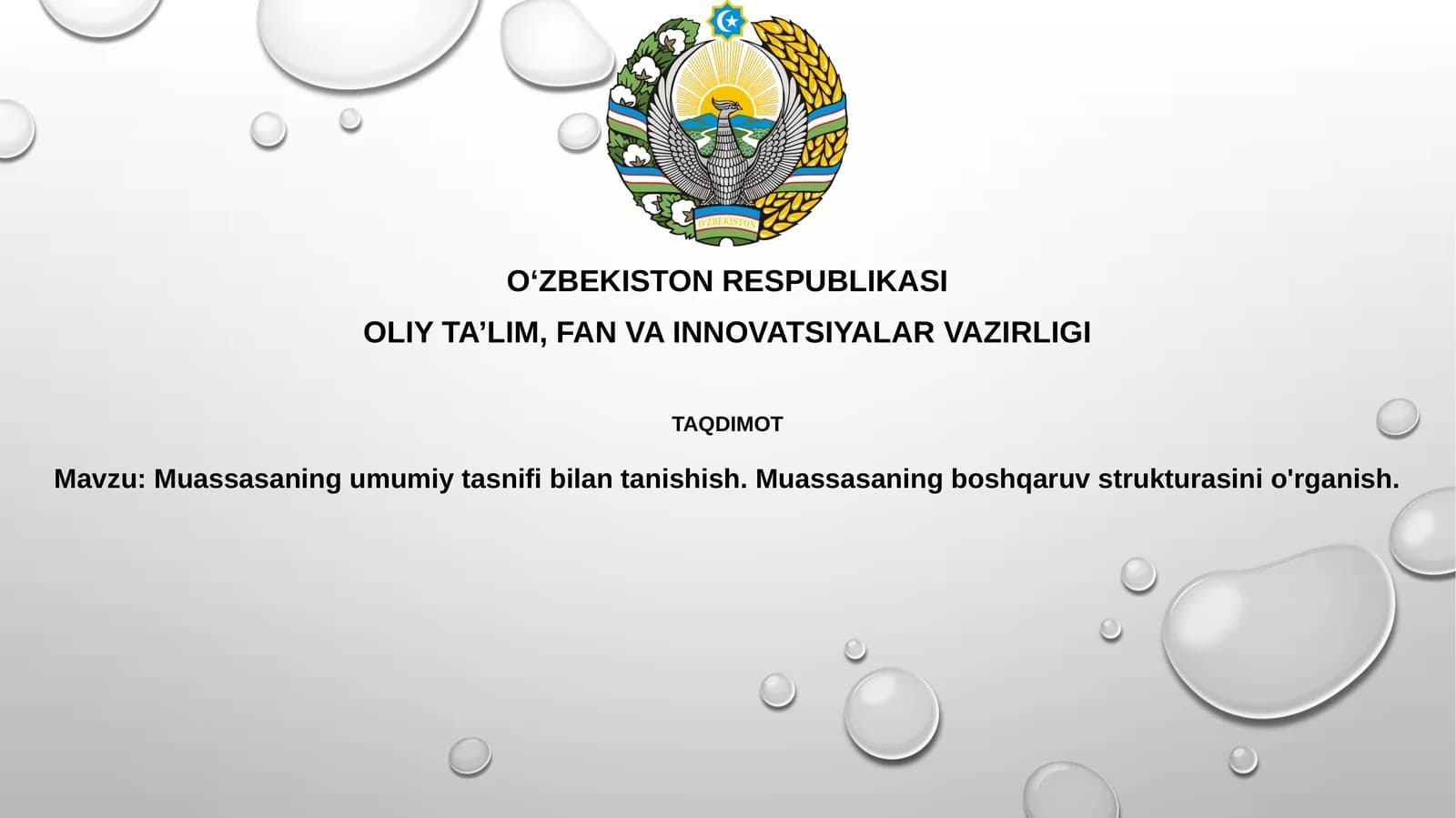 Muassasaning umumiy tasnifi va tashkiliy tuzilmasi