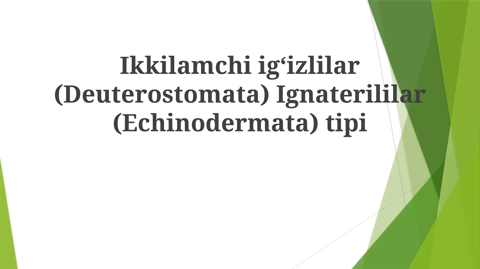 Qum dollarlari (Clypeasteroida tartibi)