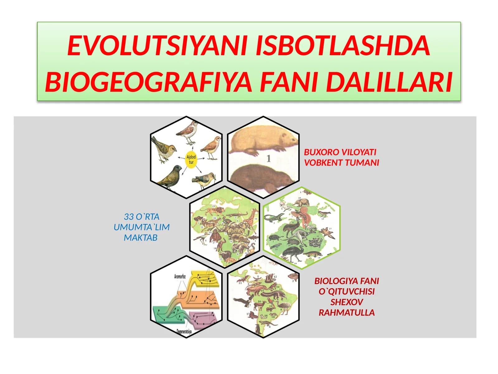 EVOLUTSIYANI ISBOTLASHDABIOGEOGRAFIYA FANI DALILLARI