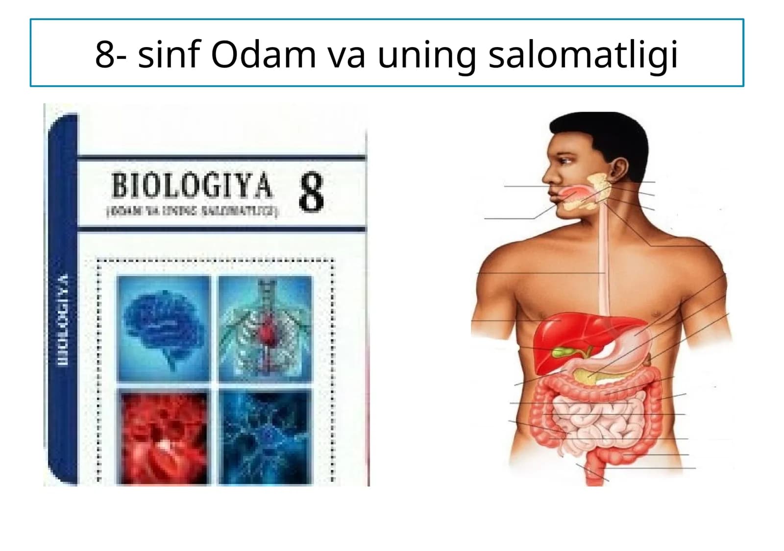 Odam va uning salomatligi