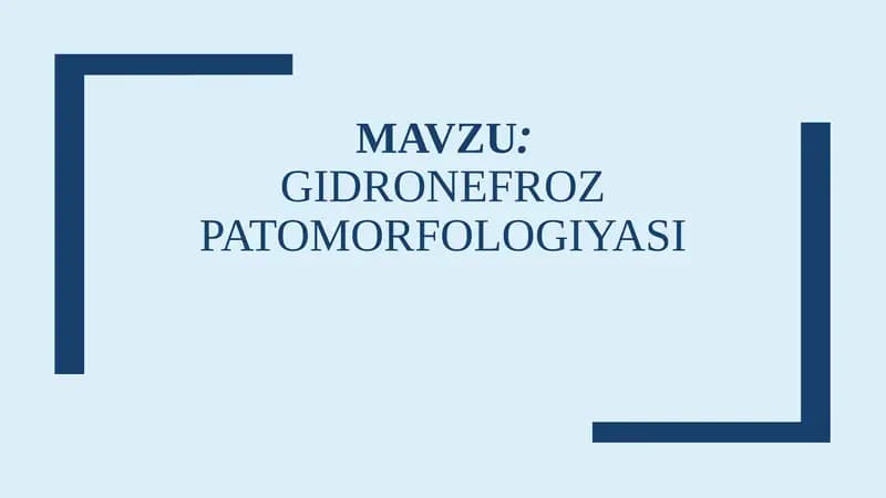 Gidronefroz Patomorfologiyasi
