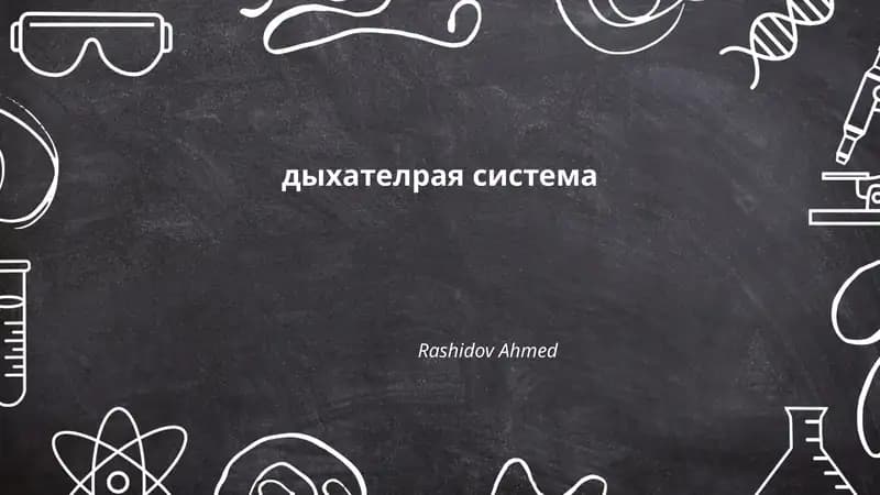 дыхателрая система