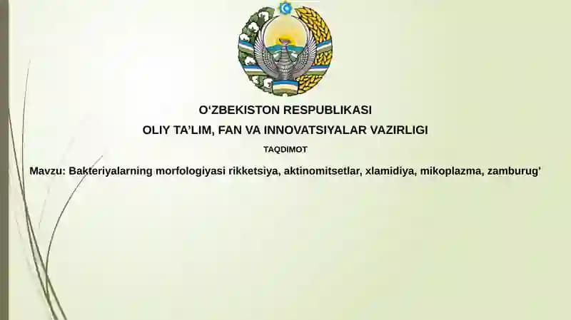 Bakteriyalarning morfologiyasi