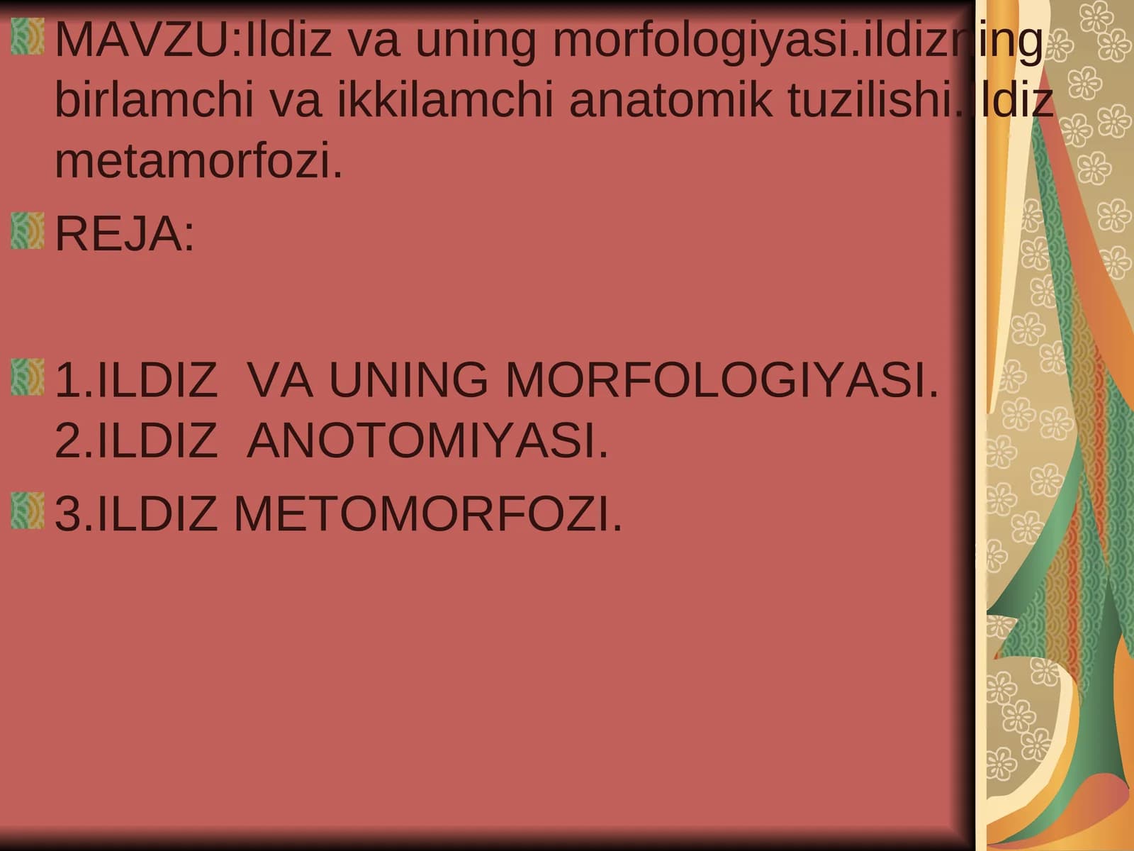Ildiz va uning morfologiyasi