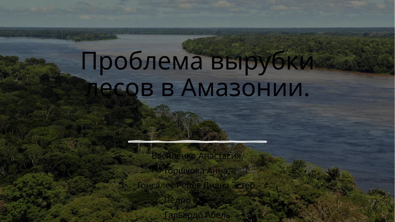 Проблема вырубки лесов в Амазонии