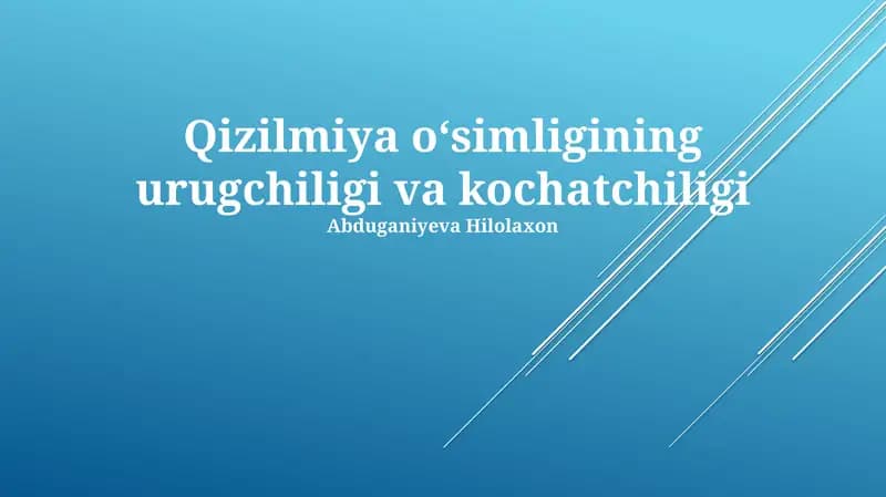 Qizilmiya oʻsimligining urugchiligi va kochatchiligi