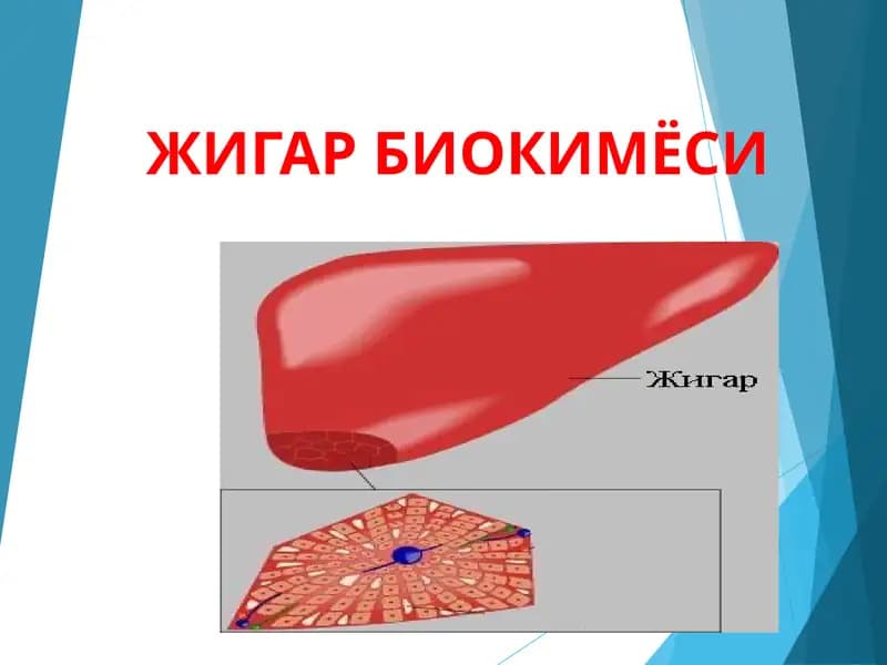 ЖИГАР БИОКИМЁСИ