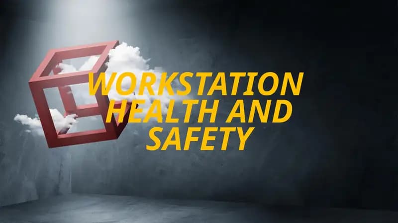 WORKSTATION HEALTH AND SAFETY