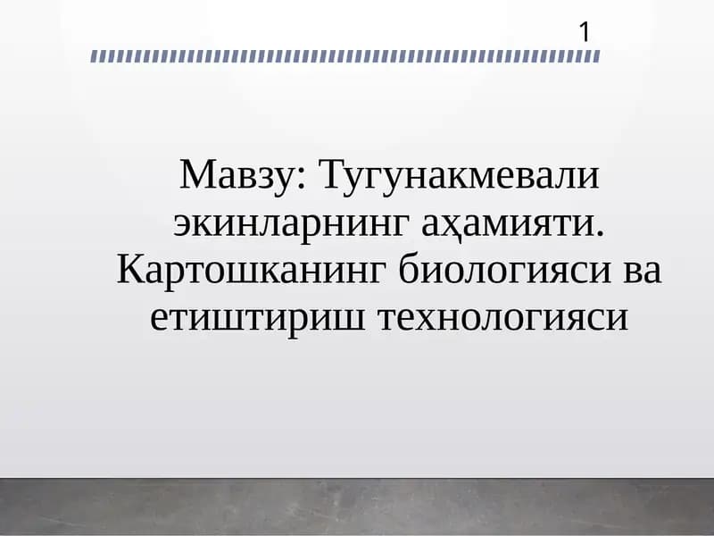 Тугунакмева ва картошка