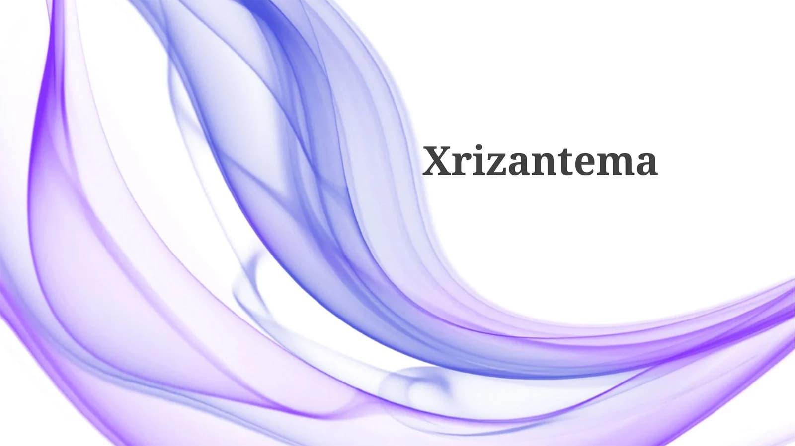 Xrizantema